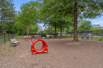 Gated dog park
